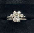 Mervis Diamond Importers to Host "Diamonds in the RUFF!"...