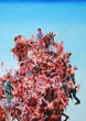 artnet Auctions Presents Tradition and Trend: Contemporary Asian Art