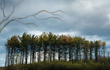 9 Years Strong, prAna's Natural Power Initiative Has Offset Over...