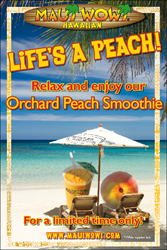 Orchard Peach returns to Maui Wowi for a limited time.