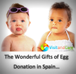 VisitandCare.com Lists Spain as Top Destination for Infertile Patients...