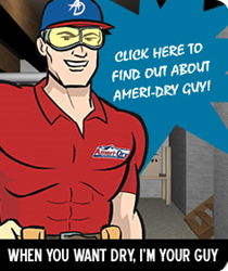 Ameri-Dry Waterproofing