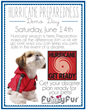 Funny Fur To Host Hurricane Preparedness Event For Pet Owners