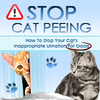 Thinking Outside The Box Review – The Key To Stop Cats Peeing Outside The Litter Box In 4 Days Or Less