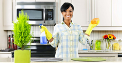 Spring Cleaning Tips