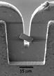 EXpressLO LLC Granted U.S. Patent for Flexible Specimen Carrier...