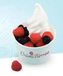 NJ frozen yogurt