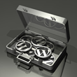 PHPMatters Announces the Award of Best WordPress Hosting 2014