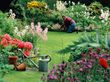 Gopher Patrol Saves Summer Lawns and Gardens in San Diego by Using...