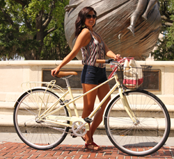 stylish city bike