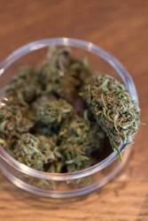 Sonya Yruel/Drug Policy Alliance
