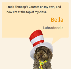 Shmoop Online Courses