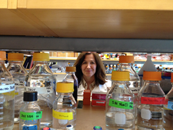 Researcher Angie Gelli
