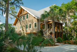 Palmetto