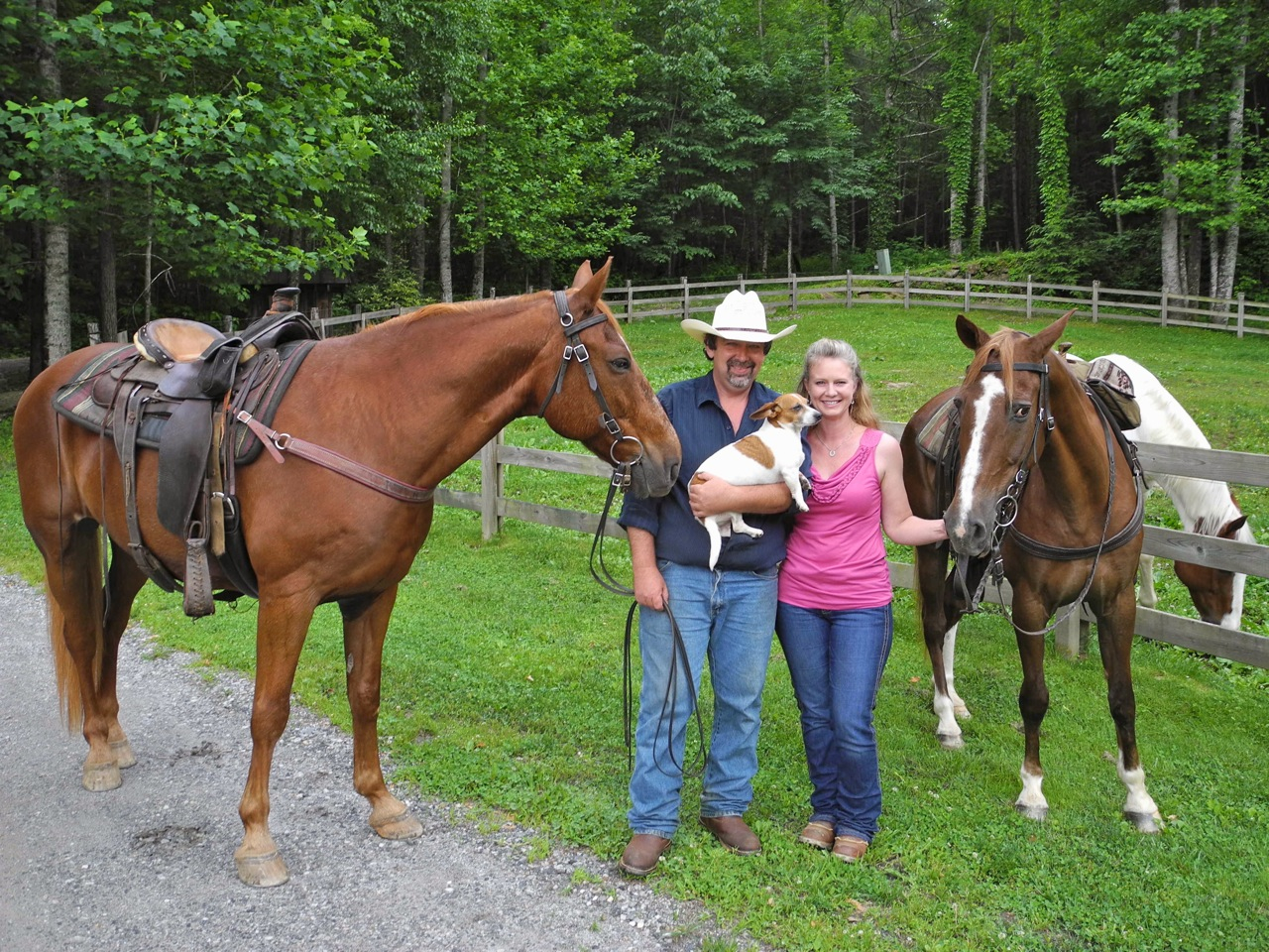 Real Estate Scorecard Applauds Balsam Mountain Preserve's Appointment