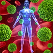 New Research Finds Compound Sensitizes Mesothelioma Cells to...