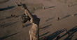 Stereocorp 3D Introduces 3D Feature Film THE ART OF BURNING to...