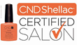CND Serves True Envy Orlando's Pro Nail Salon with a Certification