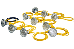 Ten 25 Watt LED Lamps connected in a series on 100' of SJTW cord with a straight blade plug