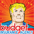 Budget Insurance Agency, Inc. Reveals Fresh Website