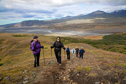 Trips to Iceland