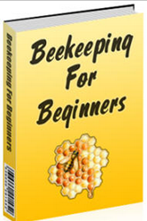 How To Start Beekeeping Review Product Order