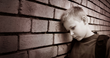 Child Behavior Checklist, a Guide Released by NoBullying Today