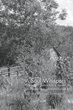 Edward Michael Tomasofsky's New Poetry Collection Recounts a...