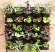 Vertical Farm Grants Aim to Supply Community Gardens, Non-profits,...