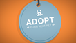 New Survey Reveals More Than Two in Five Americans Don’t Realize Pet...