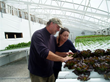Ozark All Seasons Farm Expands, Purchasing Additional Hydroponics...