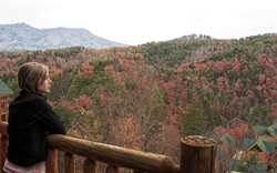 pigeon forge cabin