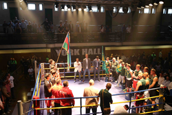 The boxers in the ring