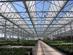 RBI open roof, Commercial open roof, open roof structures