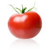 Gourmet Italian Offers Variety of California Tomatoes and Italian...