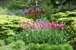 Jewell Gardens, a Certified Organic Show Garden: A Dazzling Summer...