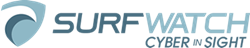 Cyber Risk Intelligence Solutions