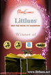 Award-Winning Fantasy Novel Littluns: And the Book of Darkness Now...