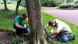Emerald Ash Borer is a threat to All Ash Trees in the Philadelphia...