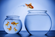 Brar Investment Capital to Discuss “Lower Risk-High Uncertainty”...