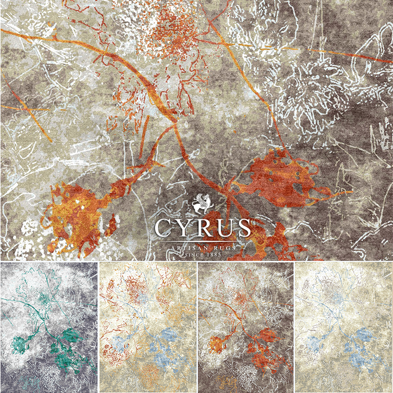 Cyrus Rugs Minneapolis Bloomington Mn | Bryont Rugs and Livings