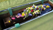 Compare Elderly Life Insurance Quotes and Cover Funeral Expenses!
