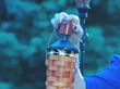 Amica Insurance Shares 5 Tips For Tiki Torch Safety