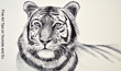 International Multi-Award Winning Artist Teaches Millions of People...