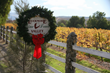 Historic Livermore Valley Kicks Off Sauvignon Blanc Month - July
