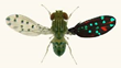 EurekaMag.com Publishes 9,790 New Studies on Transgenic Models