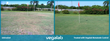 Vegalab's Newest Product Nematode Control Proves to Be a Natural...