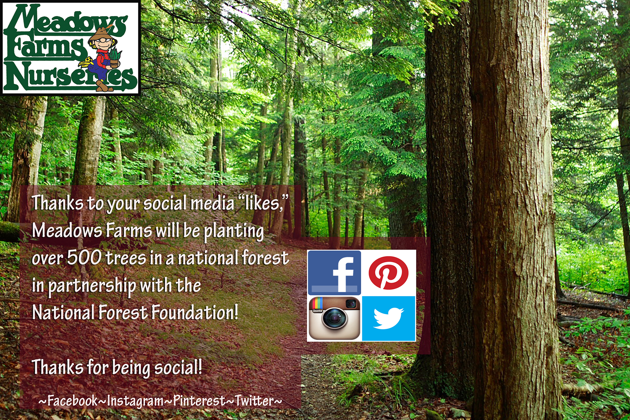 Meadows Farms Nurseries Sponsors Planting of Over 500 Trees in National