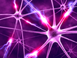Does the Holy Grail of Fat Loss Lie Within a Brain Pill?