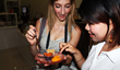 Taste of Thailand Food Tours Launches Unique Culinary Experiences in...